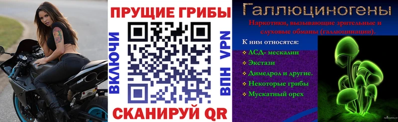 Псилоцибиновые грибы MAGIC MUSHROOMS  MEGA как зайти  Сухой Лог 